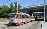 Tw 1133 aus Halle an der Haltestelle Triagalnika am 18.09.2015